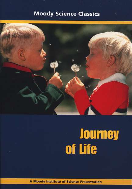 Путешествие жизни
